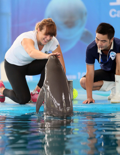 格拉利什未 格拉利什未