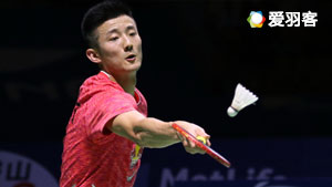 洋的新模式 洋的新模式