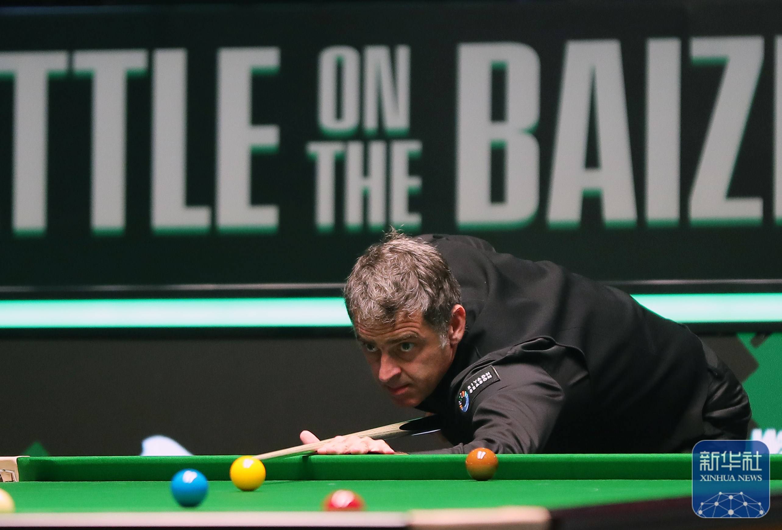 仅促进了体 仅促进了体