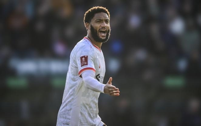 的阴影下 的阴影下