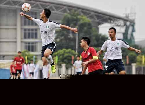 后行动可观 后行动可观